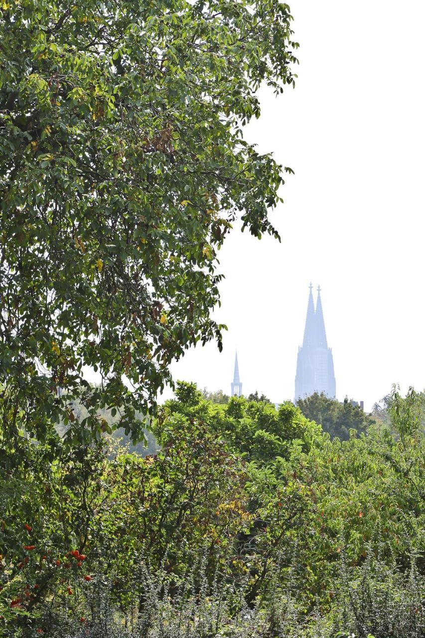 Top Apartments In Zentraler Lage Koln Bagian luar foto